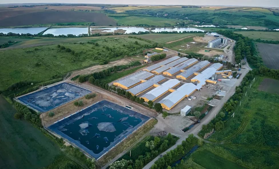 After 21 Years, Oklahoma Secures Nearly $44M Settlement To Address Poultry Pollution In Illinois River