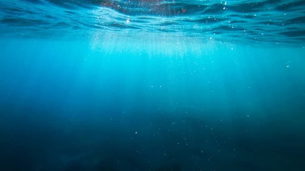 U.S. Scientists Tap Seawater to Challenge China’s Dominance in Critical Minerals
