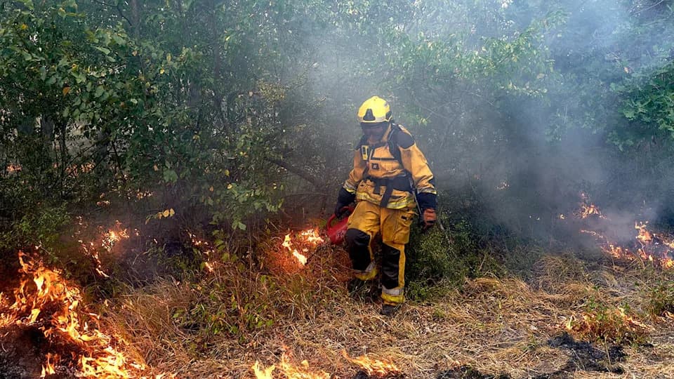 Europe's Wildfires: How Record Heat, Human Error, Arson and Land Management Failures Fuelled Devastation