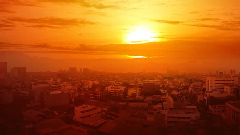 Why Cities Become 'Heat Islands' — And How We Can Cool Them Down