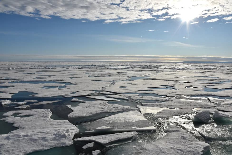Arctic Winter Sea Ice Returns to Rapid Decline After Brief Slowdown, Scientists Warn