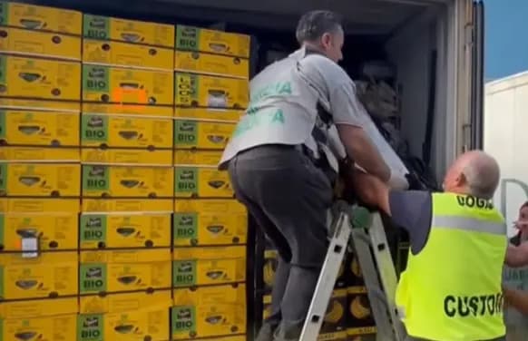 Massive Cocaine Haul Hidden in Banana Shipment at Vado Ligure — Valued at About $286M