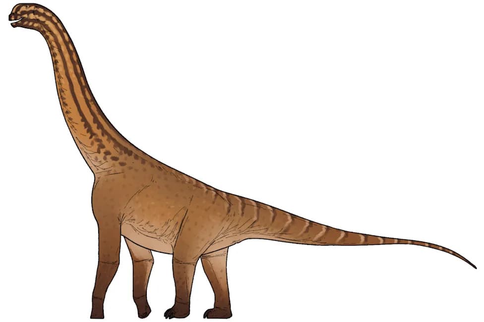 Indian Fossil Pushes Back Neosauropod Origins By 10 Million Years