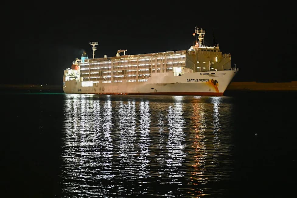 Can the Suez Canal Avert an Asian Oil Shortage After Houthi Blockade of Bab al‑Mandeb?
