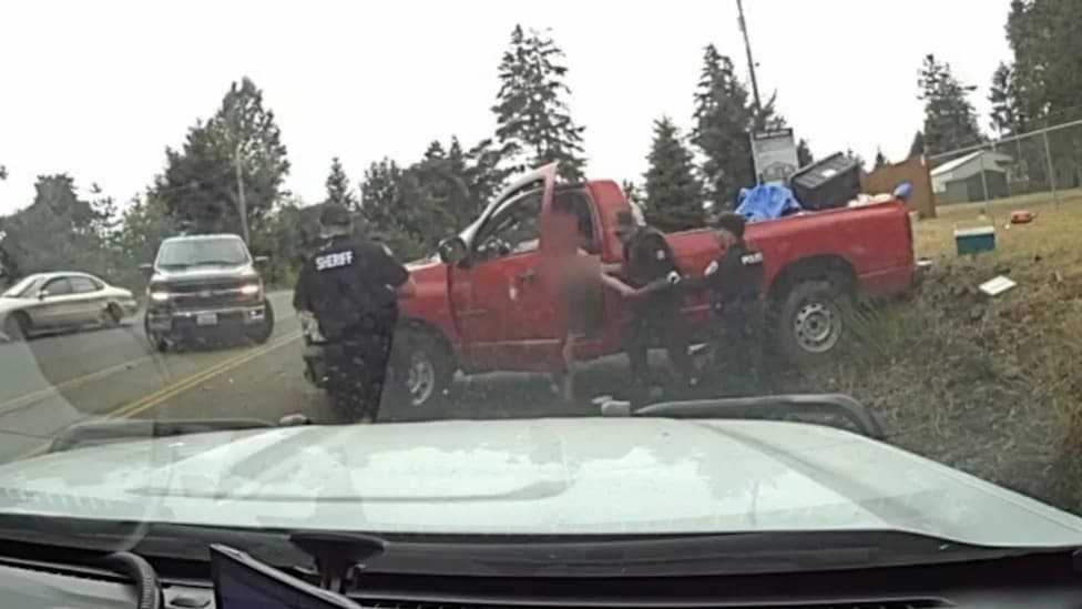 Naked Woman Accused of Attacking Mother With Handsaw, Striking Mother and Dog With Pickup Before Police Chase