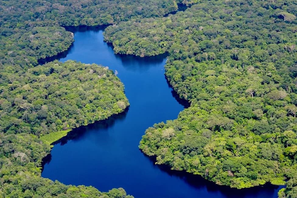 Brazilian Amazon Burned Area Falls To Four-Decade Low — But New El Niño Threatens Gains
