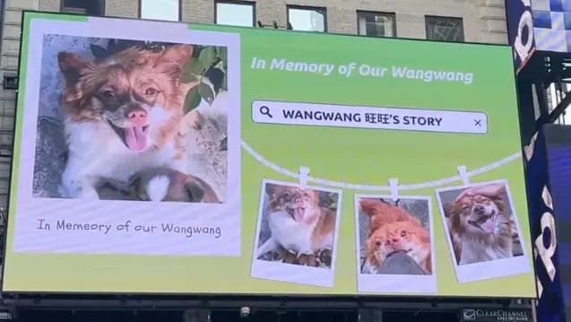 After Censorship, Chinese Animal Advocates Take Protest Offline and Overseas Over Brutal Dog Killing
