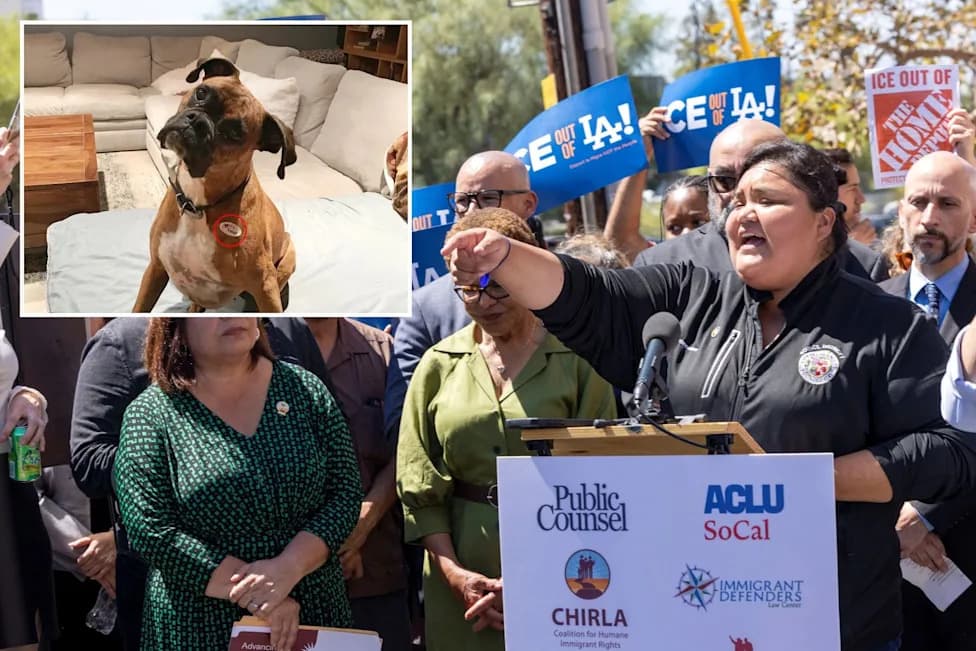 Voting Dogs, 'Harmless' Socialists, and the Limits of AI