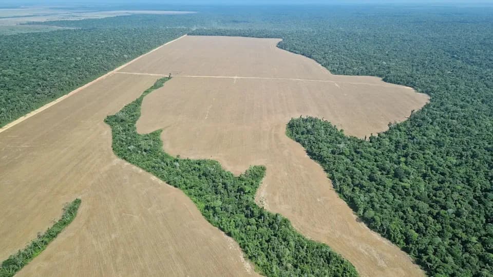 Amazon’s Decade-Low Deforestation Could Be Temporary — Scientists Warn of 1.4M-Hectare Risk
