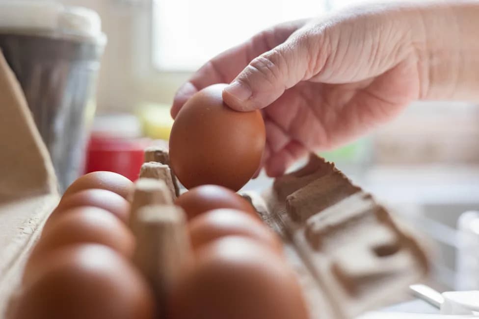 1.6 Million Eggs Recalled Over Possible Salmonella Contamination — Midwest Poultry Services Issues Voluntary Recall