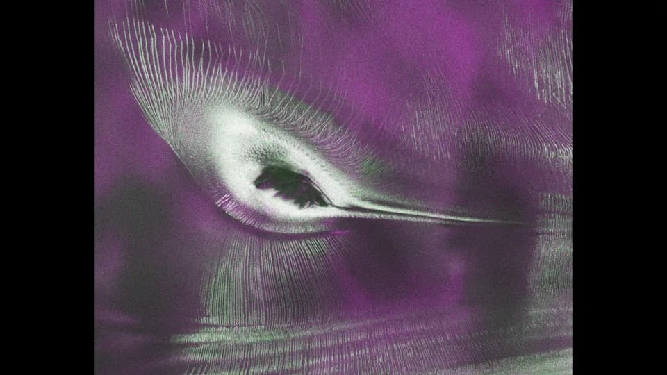 Satellite Radar Reveals a 'Hummingbird' Shape on Antarctic Mountaintop — NISAR Image Shows Glacier Flow