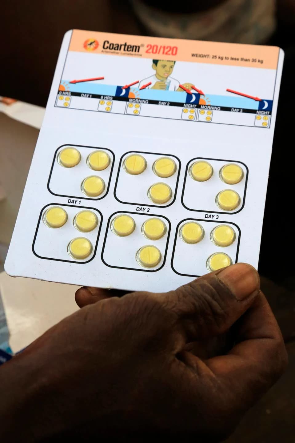 When Could Malaria Drugs Stop Working in Africa? Inside the Race to Protect Artemisinin Therapies