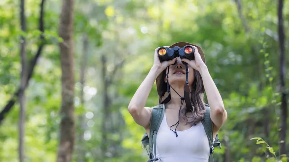 AI-Altered Bird Photos Threaten Conservation Data — Experts Warn Edits Can Mislead Science