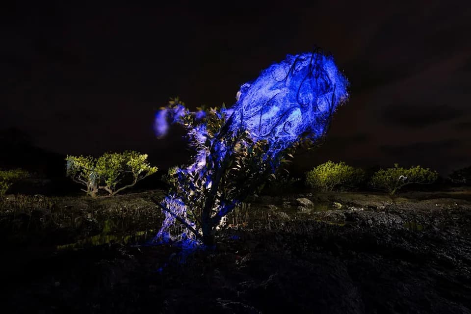 Glowing 'Ghost Net' Wins Mangrove Photography Award — Spotlight on Threat to Coastal Forests