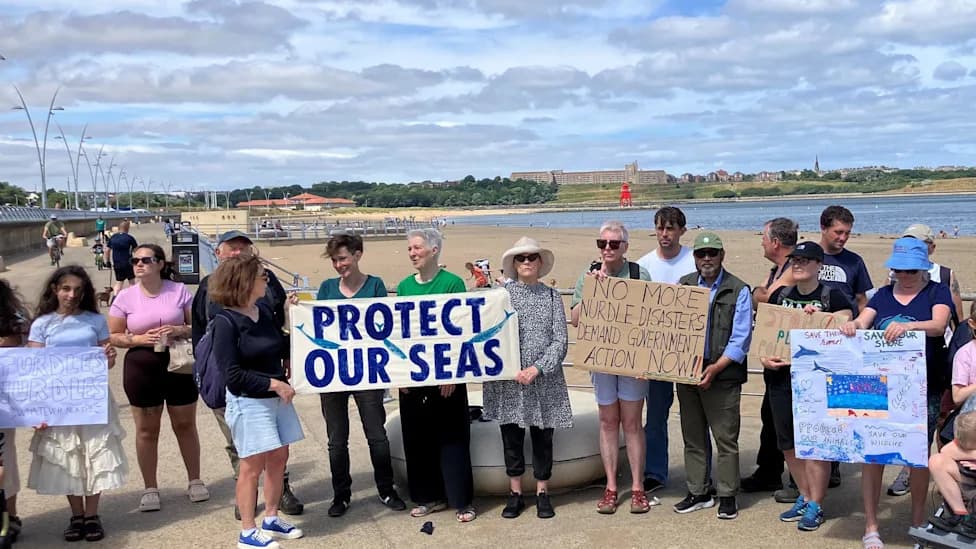 Thousands of Plastic 'Nurdles' Wash Ashore in North-East England — Protests and Cleanup Underway