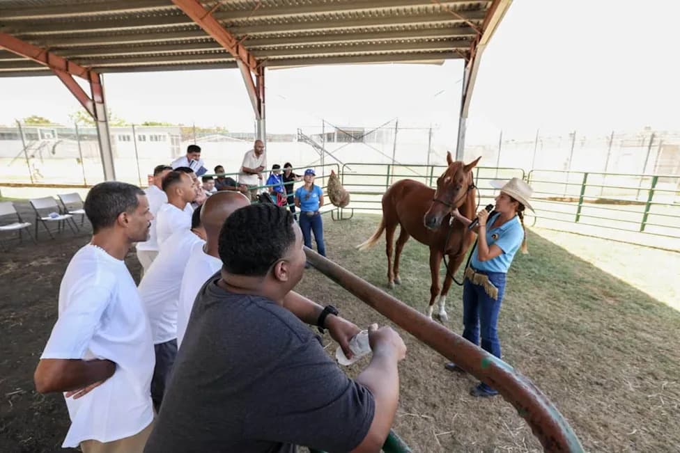 After 16 Years, Puerto Rico Launches 'Paso a Paso' — A Prison Equine-Assisted Learning Pilot