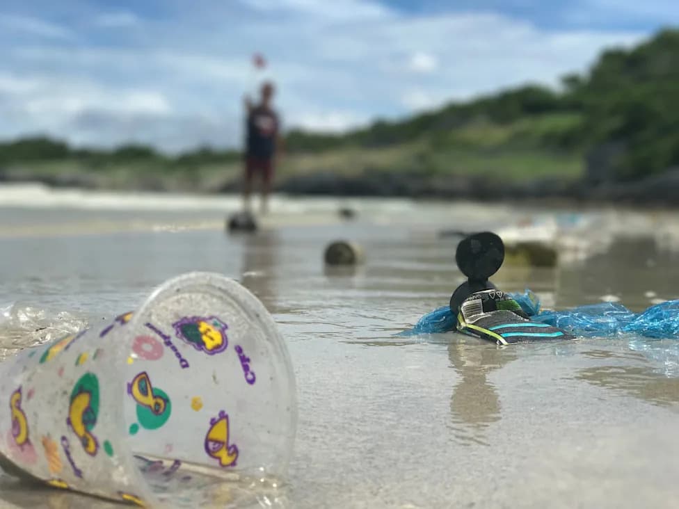 Ocean Microplastics Carry a "Memory" That Changes How They Drift, Study Finds