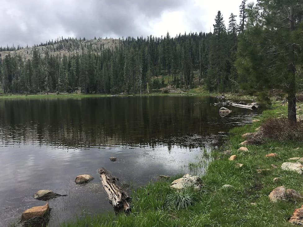Two Forest Service Biologists Held Hostage for 15 Hours Near Gumboot Lake; Father and Son Charged