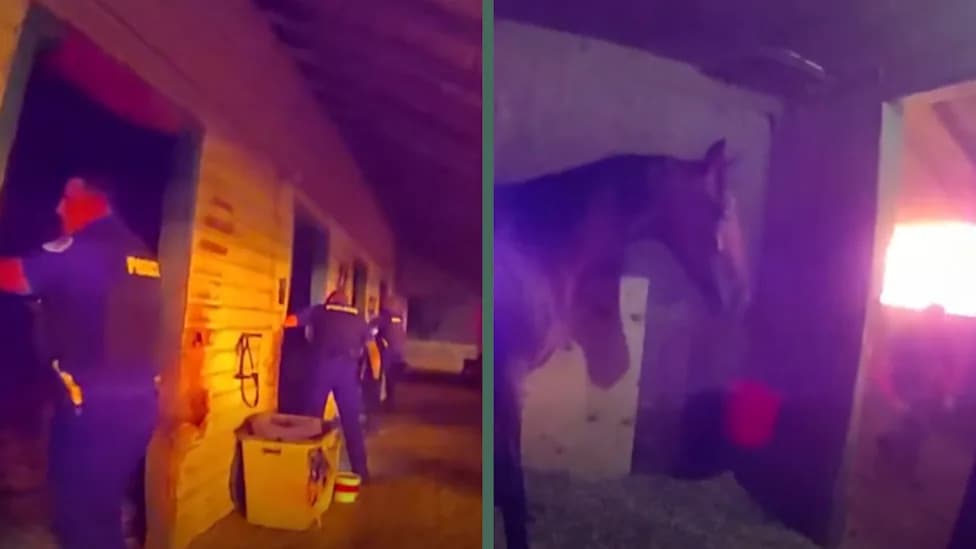 Body-Cam Captures Officers Racing Into Barn Fire to Rescue Terrified Horses