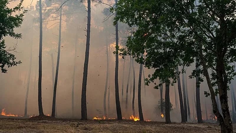 Wildfires Near Bordeaux Trigger Mass Evacuations As Record Blazes Sweep France and Spain