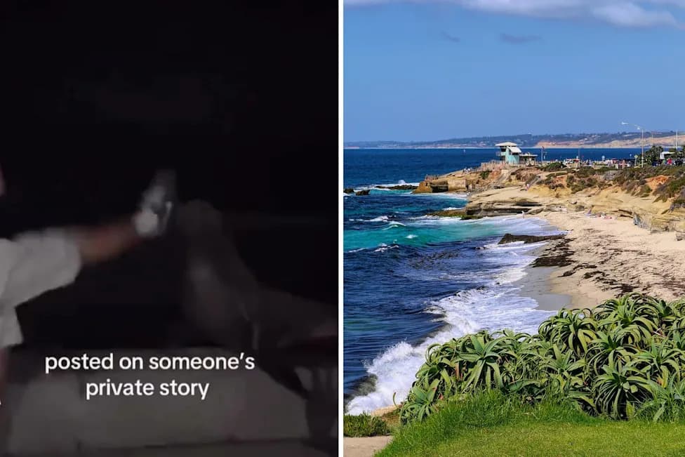 Viral Video Shows Man Kicking Sea Lion at La Jolla Cove; NOAA Investigating