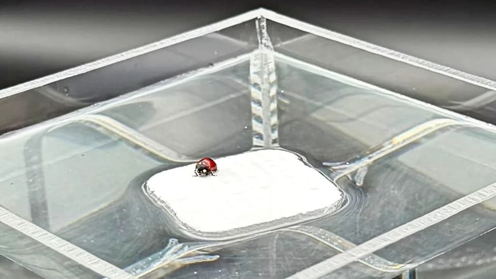 Lung-Inspired 'Breathable' Hydrogel Boosts Comfort and Signal Quality for Wearable Health Patches