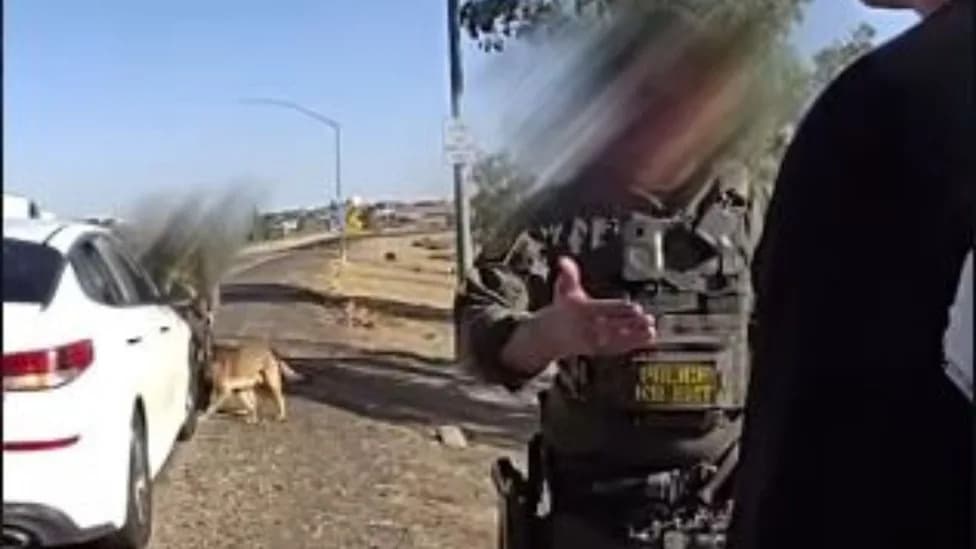 Hidden in a Trunk at 110°F: Border Patrol Finds Man During Interstate 8 Stop, Driver Arrested