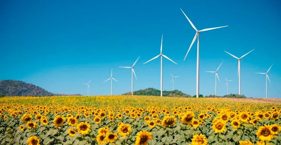 The Hidden Wildlife Costs of the Renewable Energy Boom — How to Make Clean Power Nature-Positive