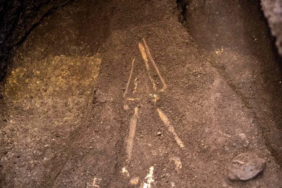 3,000-Year-Old Pre-Hispanic Burial Near San Salvador Yields Skull, Turtle-Shaped Vessel and Cassava Remains