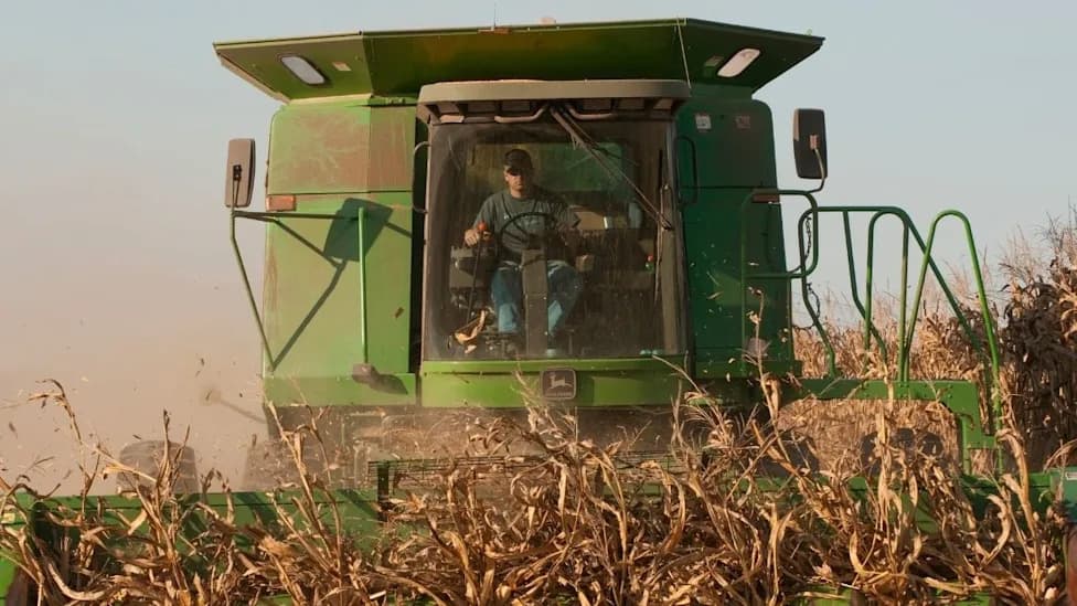 Scientists Propose Cheap, Scalable Way To Remove 'Forever Chemicals' From Farm Soil