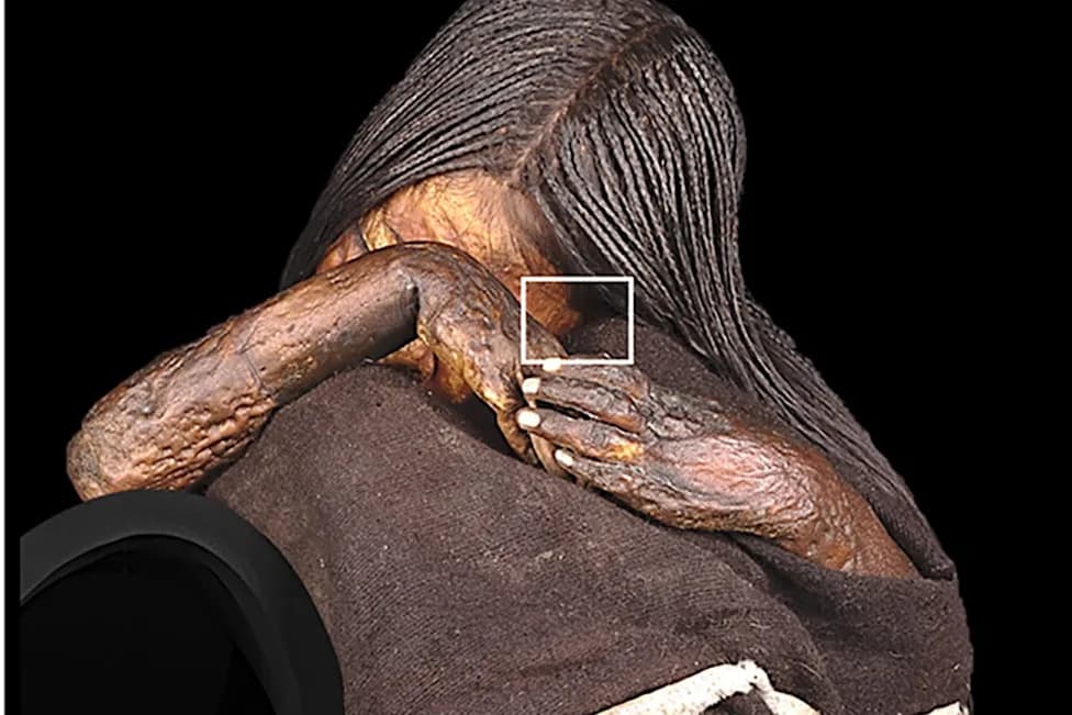 Forensic Study Reveals Inca Child Marched Thousands of Kilometres and Killed with Stone Mace in Capacocha Ritual