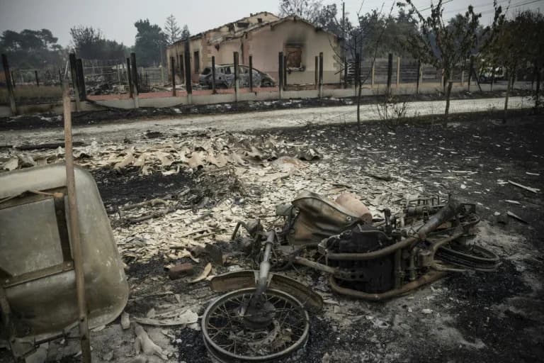 ‘Sacrificed’ to Save Millionaires’ Peninsula? Le Porge Residents Fury After Devastating Wildfire