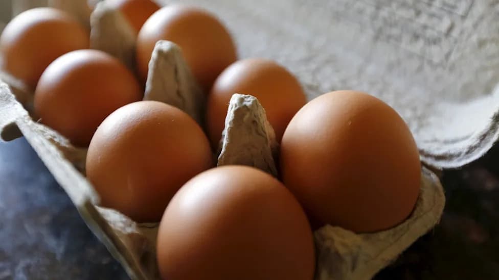 Multistate Salmonella Outbreak Linked to Midwest Poultry Services Eggs — 1.59M Dozen Recalled