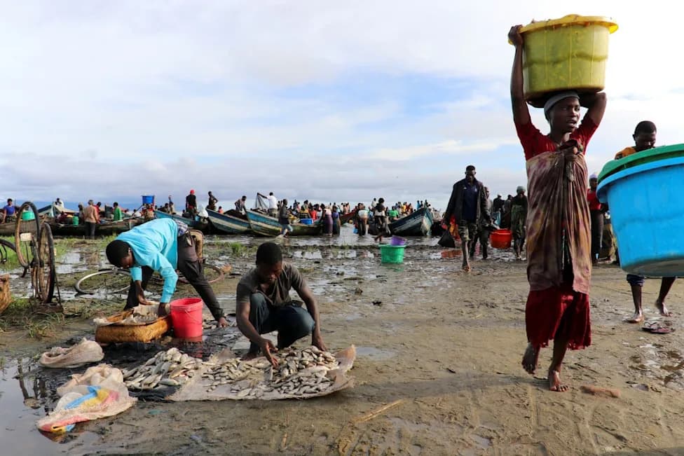 Europe Cuts Overseas Aid as Global Development Funding Falls