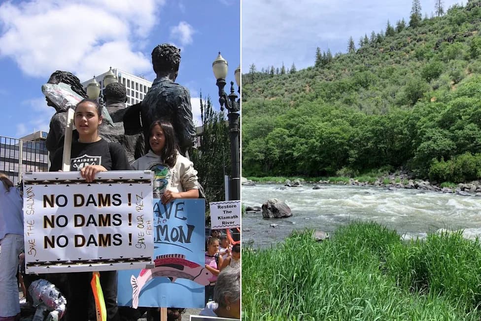 Klamath River Reborn: Salmon Surge After Four Dams Removed