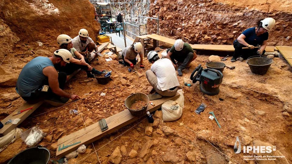 Ancient Cannibalism Revealed: Adults and Children of Homo antecessor Found at Gran Dolina (≈850,000 Years Ago)