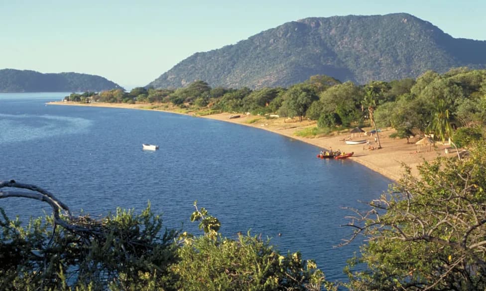 Tiny Lake Malawi Larvae Dive Beyond 200 m — Surviving Pressures Once Thought Fatal