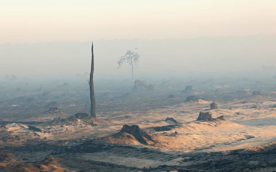 Europe’s Wildfire Crisis: France and Spain Battle Record Blazes as Heat Wave Looms