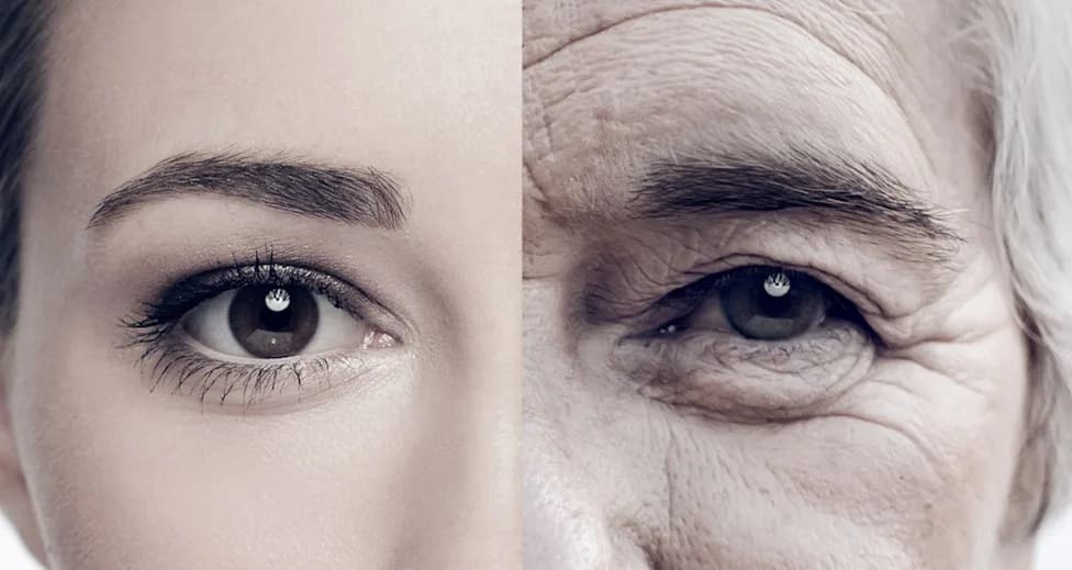 156 Years? New Model Suggests Somatic DNA Mutations Could Impose a Hard Ceiling on Human Lifespan