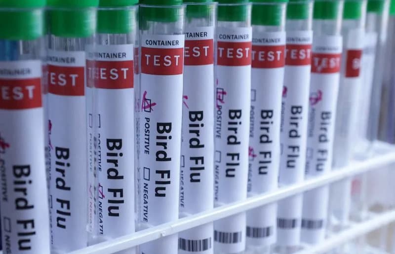 Australia Confirms Local Spread of H5N1 Bird Flu Among Native Birds