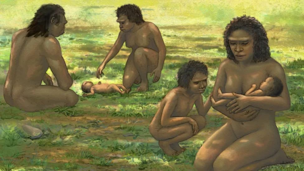 Study Finds Human Newborns Were Helpless for Over 1 Million Years