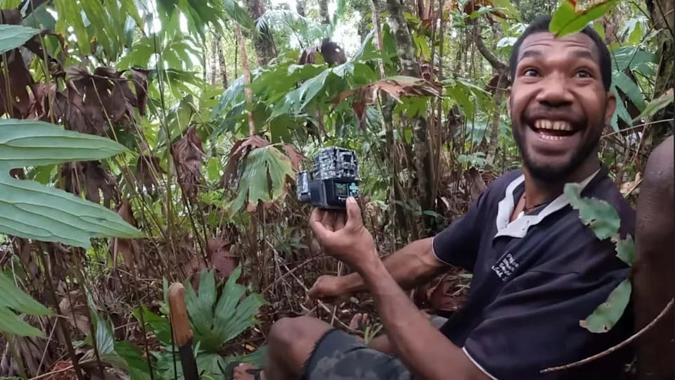 Auwo Rediscovered: 'Mythical' Black-Naped Pheasant-Pigeon Caught on Camera After 140 Years