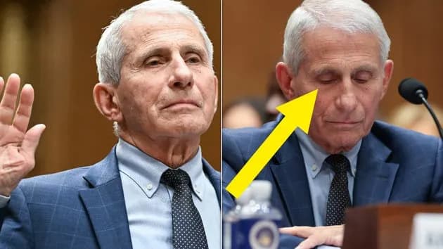 Body Language Experts Decode Fauci’s Contained Response After He Pleads the Fifth at Senate Hearing