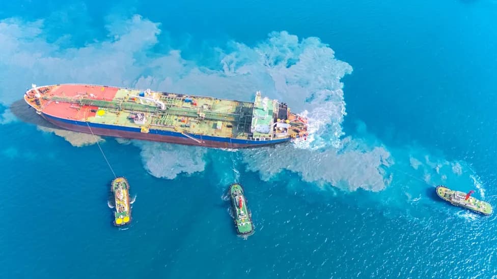 Maritime Traffic Jam at Strait of Hormuz Could Turn 1,500 Idle Ships into Vectors for Invasive Species