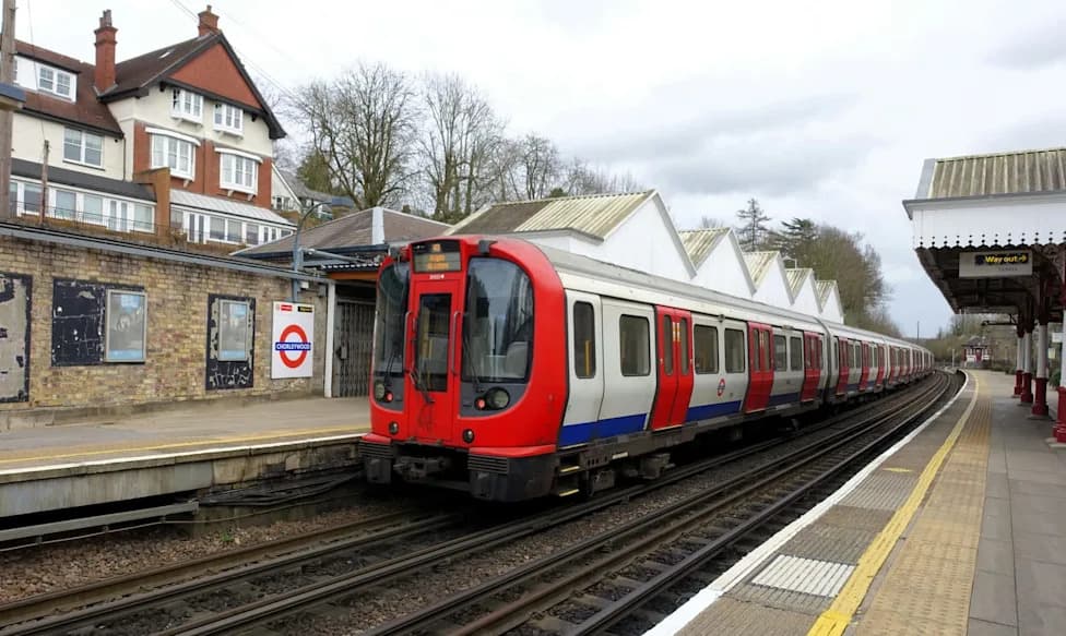 How Five Beavers Built Seven Dams — Nature Reduced Flooding Near West London's Greenford Station