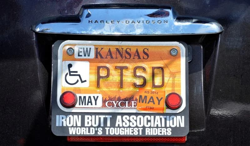 Psilocybin Therapy Puts 9 of 12 Treatment‑Resistant Veterans With PTSD Into Remission in Small U.S. Pilot