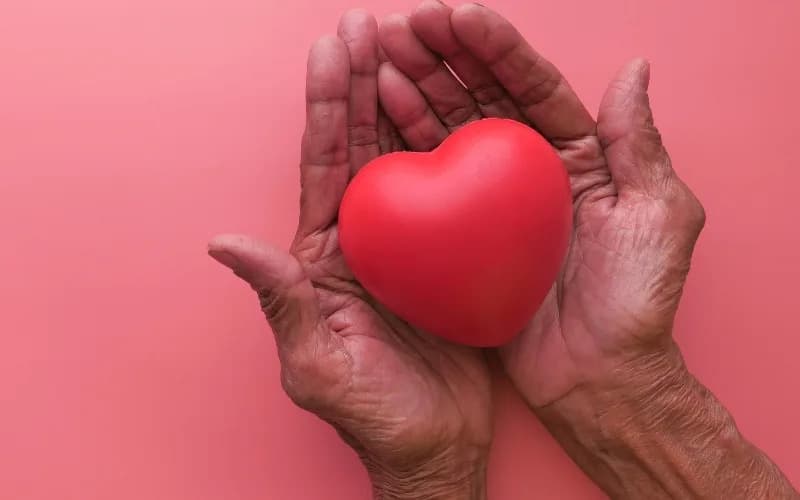 Food as Medicine: Culturally Tailored Navajo Meals Cut Hospital Visits for Heart Failure