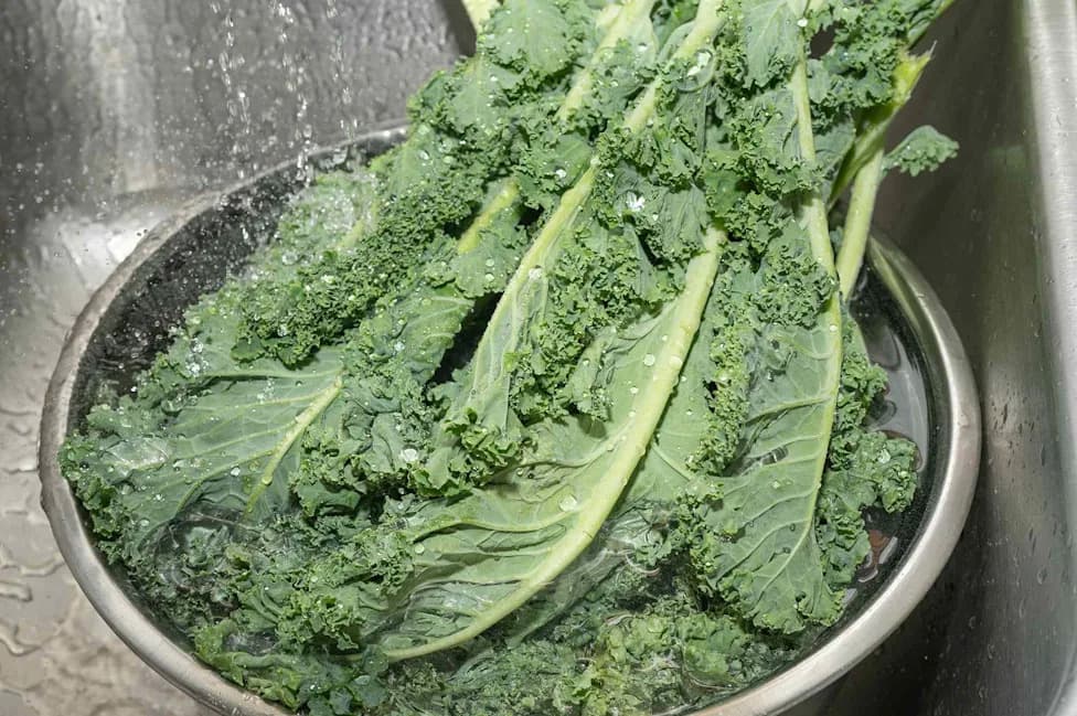 Cyclospora Outbreak Reaches 45 States: 9 Foods Most Often Linked to ‘Explosive Diarrhea’
