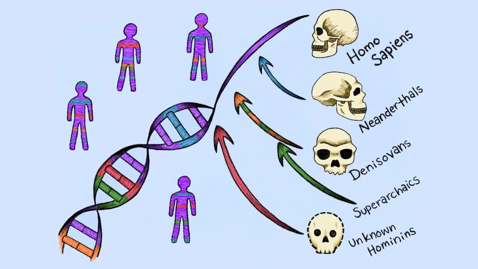 New Study Finds DNA From Two Previously Unknown 'Ghost' Human Lineages Hidden in Modern Genomes