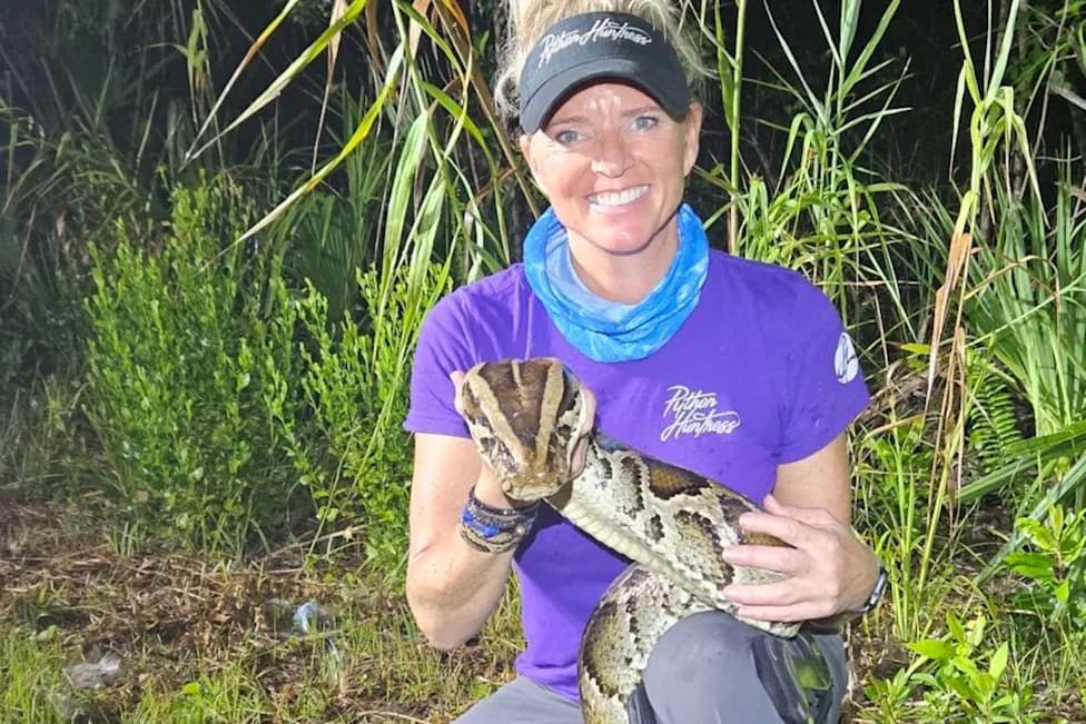 Florida's Python Challenge Draws Spectacle, Not Effective Control, Warns 'Python Huntress'